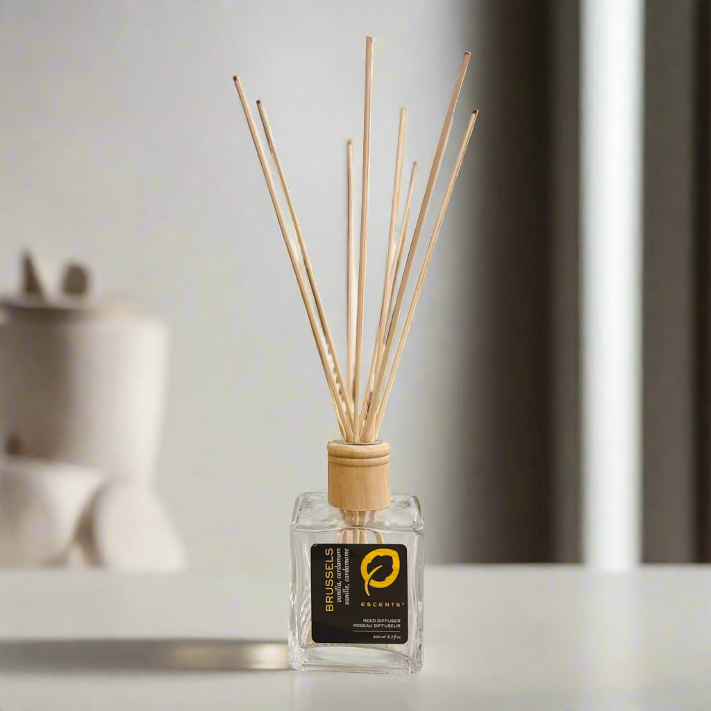 Reed Diffuser - Brussels