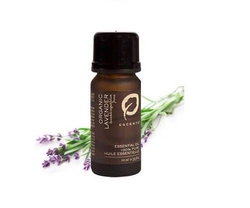 Organic Lavender - Premium ESSENTIAL OIL from Escents Aromatherapy Canada Canada -  !