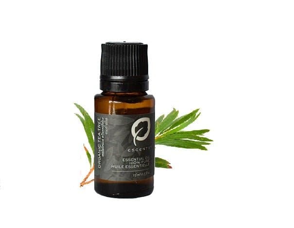 Organic Tea Tree - Premium ESSENTIAL OIL from Escents Aromatherapy -  !