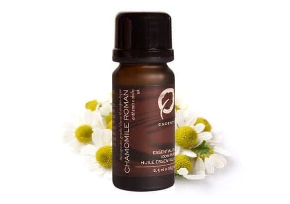 Precious Oil Chamomile Roman - Premium ESSENTIAL OIL, Precious Oil from Escents Aromatherapy -  !   